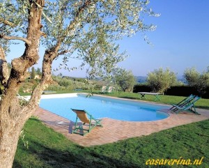 Bernardini 14